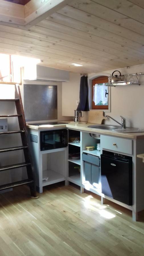 Studio Sur Peniche La Tortue Ramonville-Saint-Agne Bagian luar foto